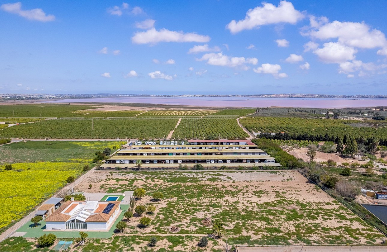 Resale - Villa - Los Montesinos - LOS MONTESINOS