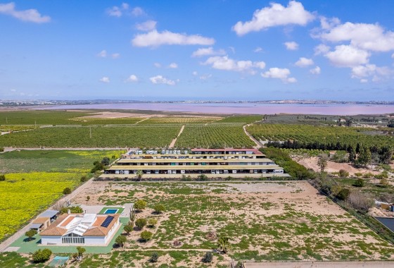 Resale - Villa - Los Montesinos - LOS MONTESINOS