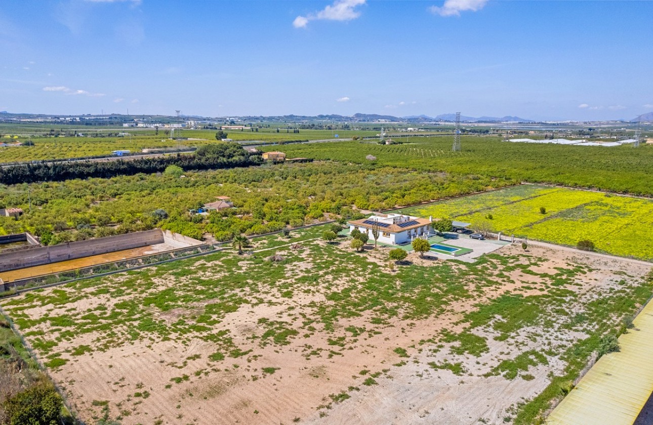 Resale - Villa - Los Montesinos - LOS MONTESINOS