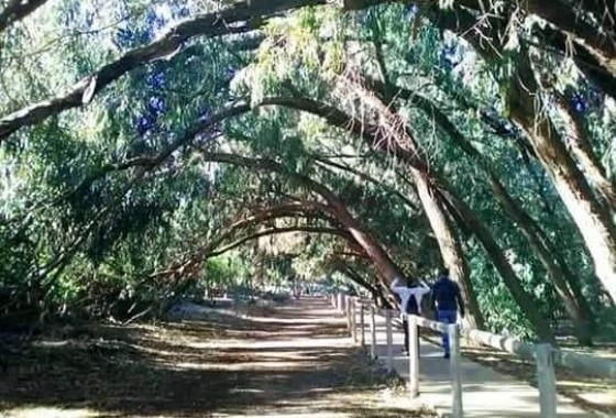 Nouvelle construction - Bungalow - Torrevieja - Altos del Sol