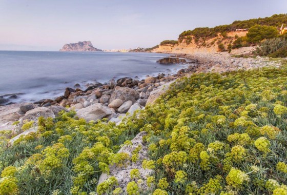 New Build - Villa - Benissa - Cala Advocat