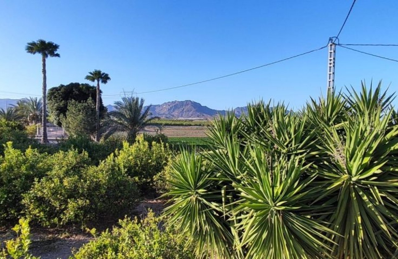 Revente - Country house - Orihuela