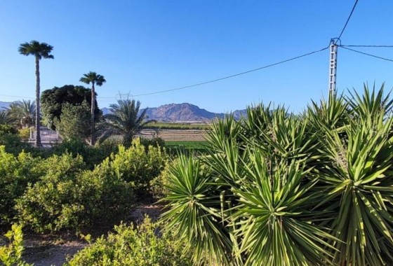 Revente - Country house - Orihuela