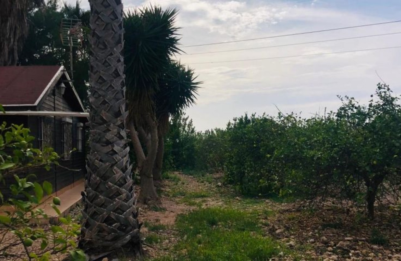 Revente - Country house - Orihuela