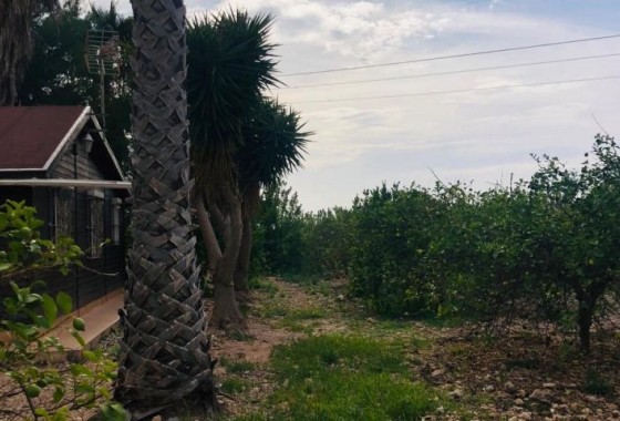 Revente - Country house - Orihuela