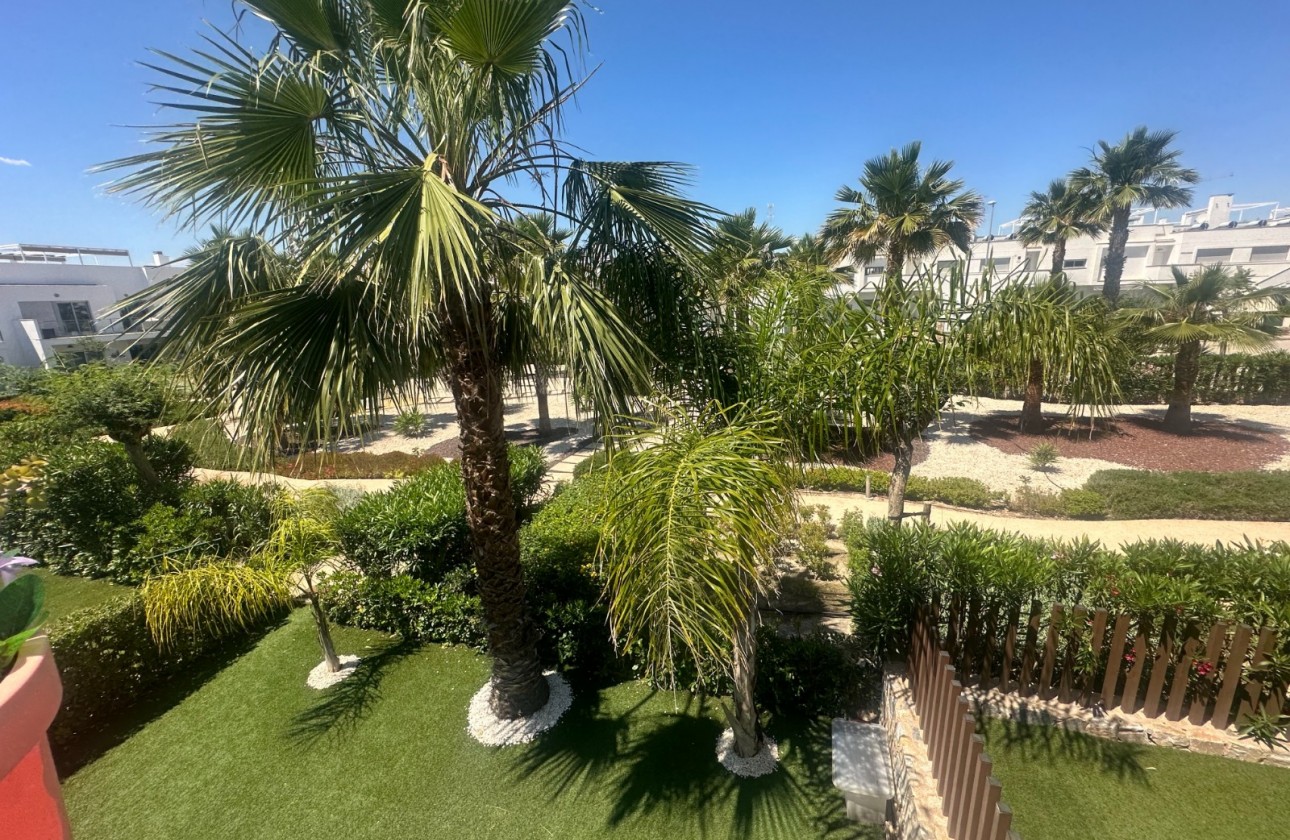 Reventa - Apartamento / piso - Orihuela - Entre Naranjos Vistabella