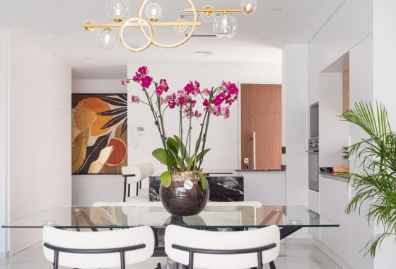 Nouvelle construction - Villa - San Pedro del Pinatar