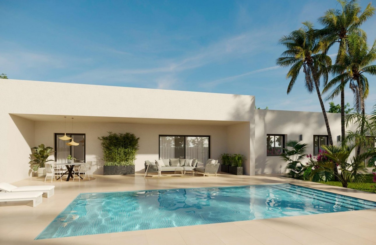 Nueva construcción  - Chalet - Aspe - Poligono 19