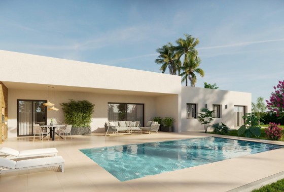 Nueva construcción  - Chalet - Aspe - Poligono 19