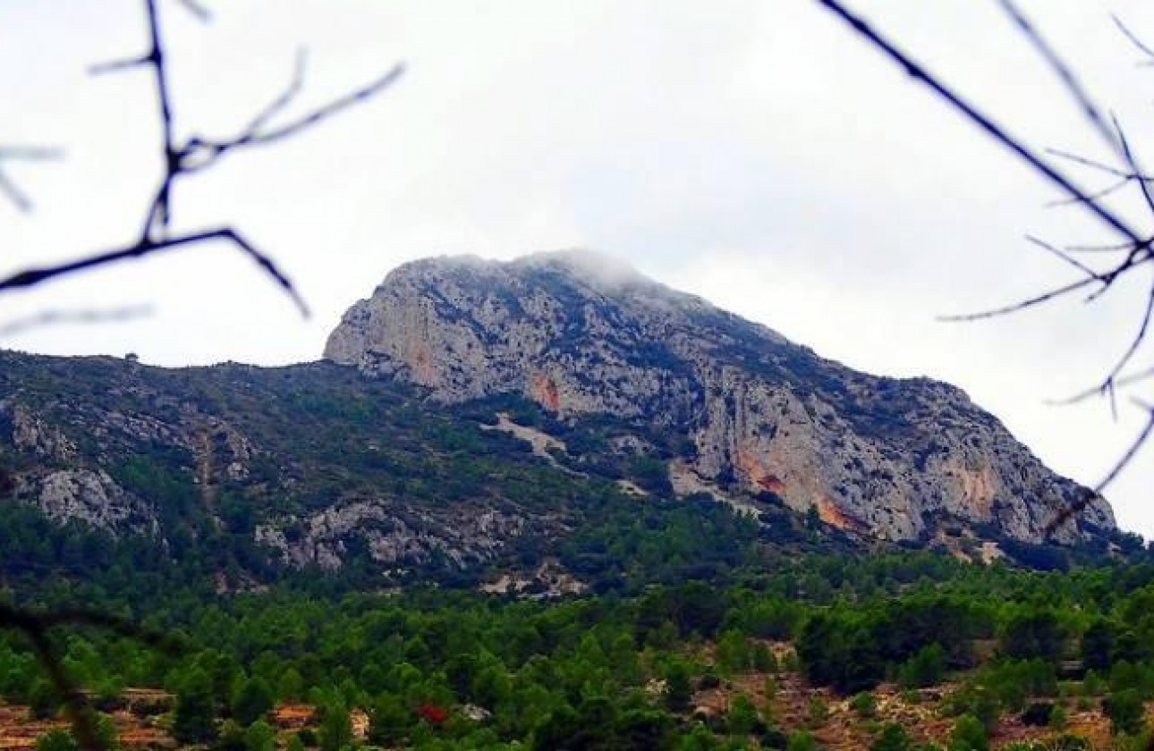 Nueva construcción  - Chalet - La Romana - Batistes