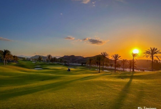 Nouvelle construction - Attique - Pulpi - Aguilón Golf