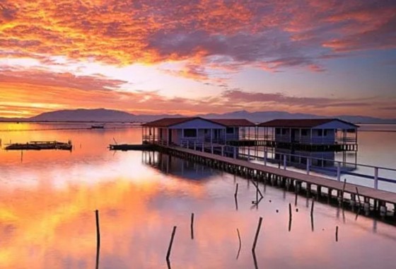 Nueva construcción  - Bungalow - San Pedro del Pinatar - Los Pinos