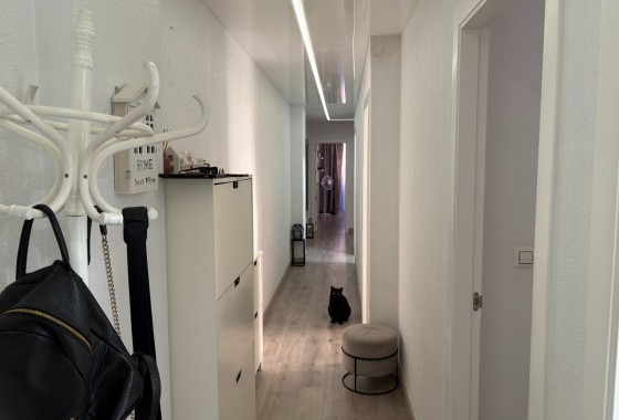 Resale - Apartment / flat - Torrevieja - Centro