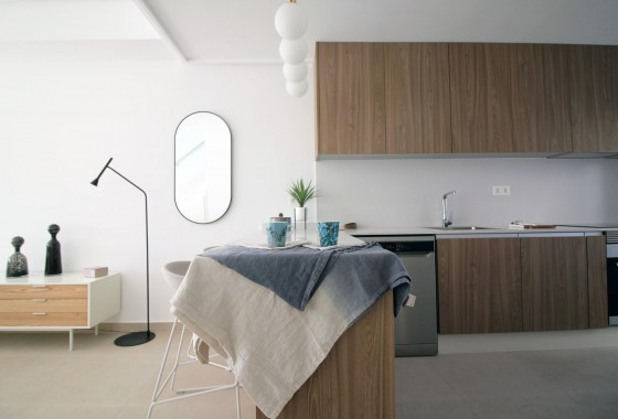 Nouvelle construction - Villa - Pilar de la Horadada - parque Andromeda