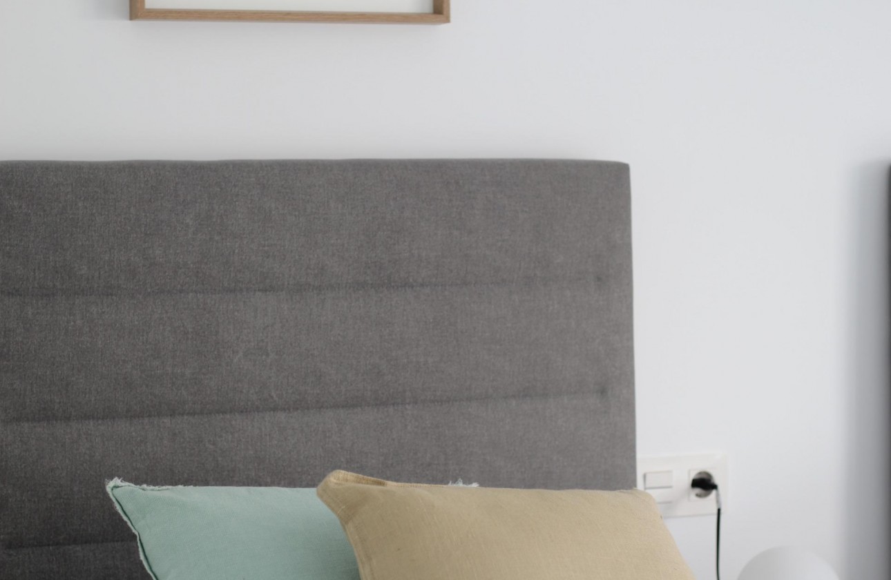 Nouvelle construction - Villa - Pilar de la Horadada - parque Andromeda