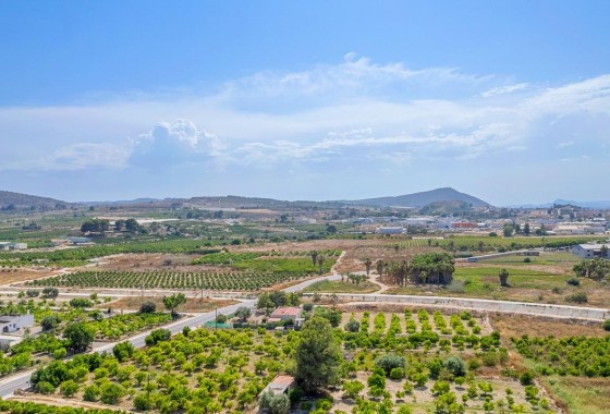 Nouvelle construction - Attique - Jacarilla - pueblo