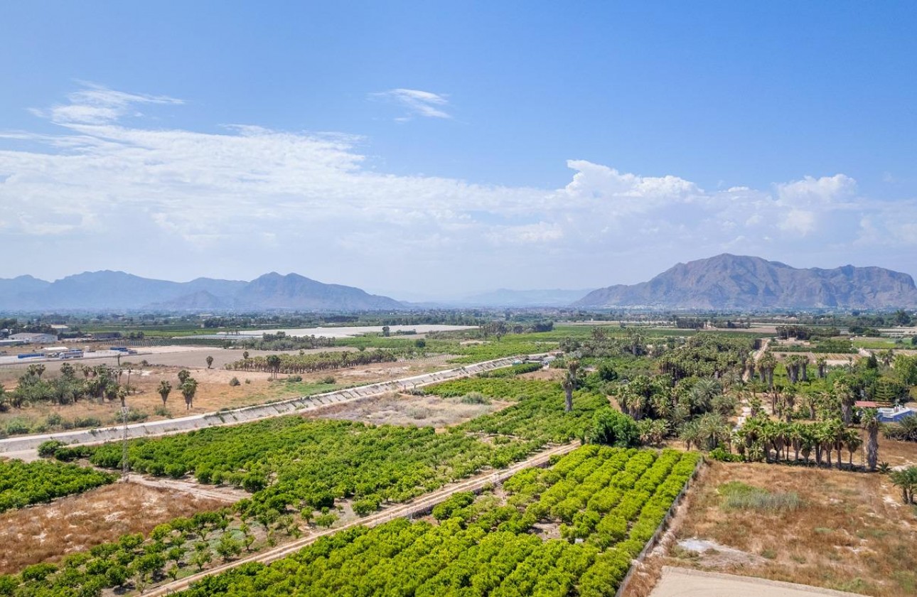 Nueva construcción  - Apartamento / piso - Jacarilla - pueblo