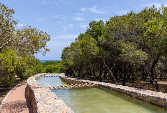 Resale - Bungalow - Torrevieja - La Mata