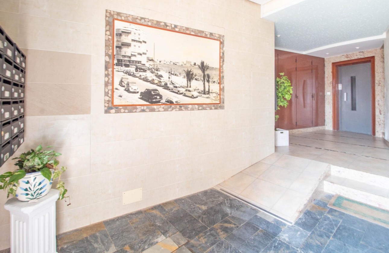 Revente - Appartement - Torrevieja - Acequion