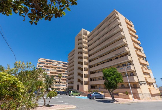 Revente - Appartement - Torrevieja - Cabo cervera