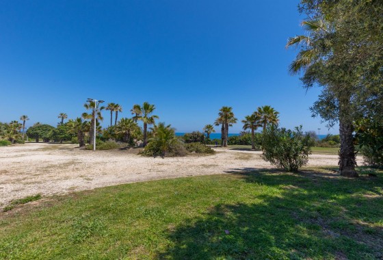 Revente - Appartement - Torrevieja - Cabo cervera