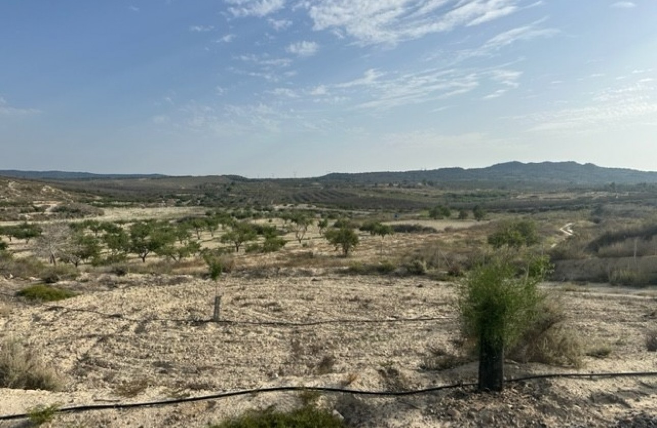 Reventa - Plot of Land - Torremendo