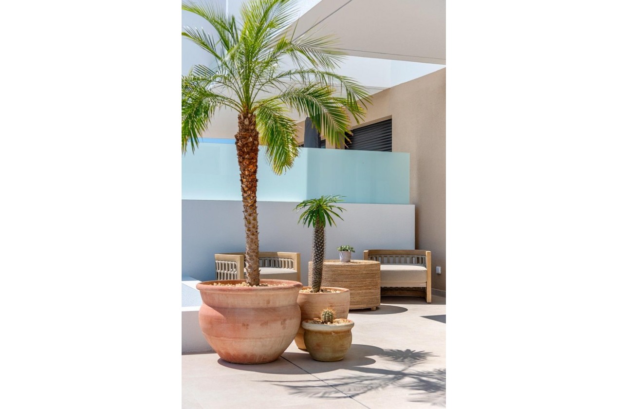 Nouvelle construction - Villa - Dolores - Sector 3