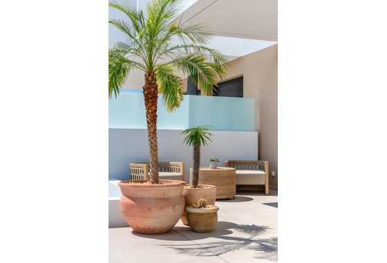 Nouvelle construction - Villa - Dolores - Sector 3