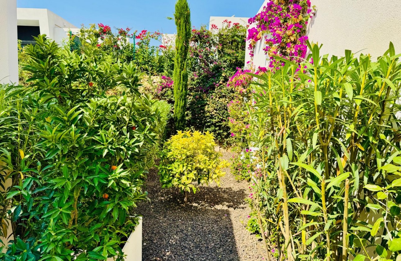 Revente - Villa - Algorfa - La Finca Golf