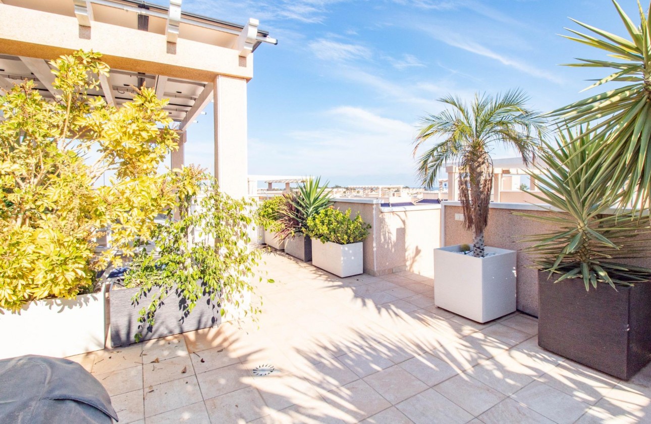 Resale - Bungalow - Torrevieja - Punta prima