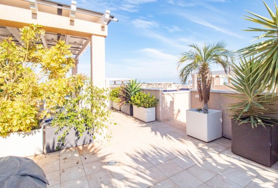 Resale - Bungalow - Torrevieja - Punta prima