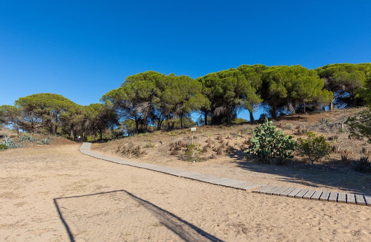 Reventa - Apartamento / piso - Guardamar del Segura - Urb. pinomar