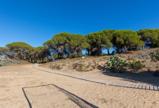 Reventa - Apartamento / piso - Guardamar del Segura - Urb. pinomar