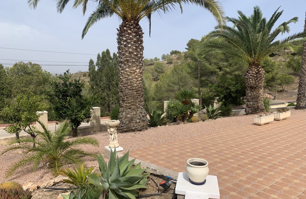 Reventa - Chalet - Algorfa (montemar)