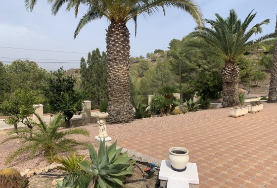 Reventa - Chalet - Algorfa (montemar)