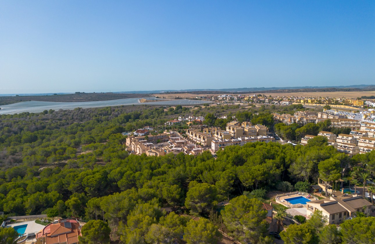 Revente - Parcelle / Terrain - Algorfa