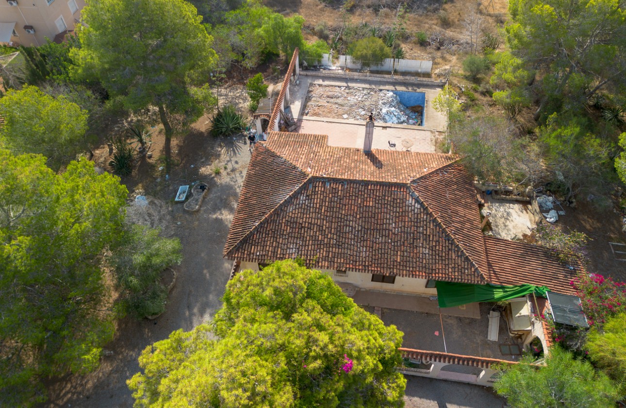 Revente - Parcelle / Terrain - Algorfa