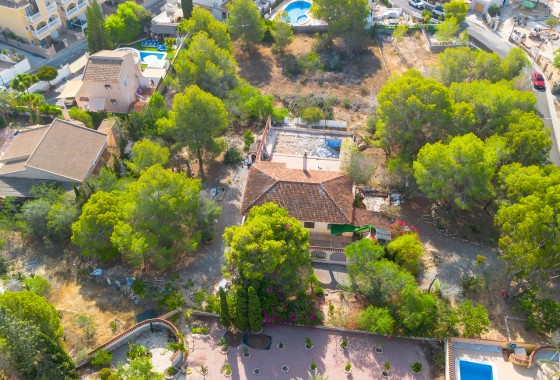 Revente - Parcelle / Terrain - Algorfa