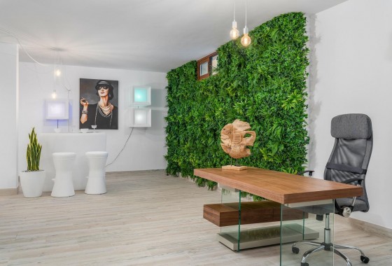 Nouvelle construction - Villa - Vera - Vera playa