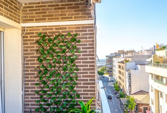 Revente - Appartement - Torrevieja - torrevieja