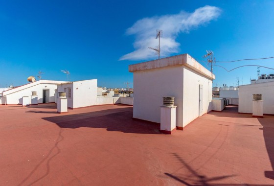 Revente - Appartement - Torrevieja - torrevieja