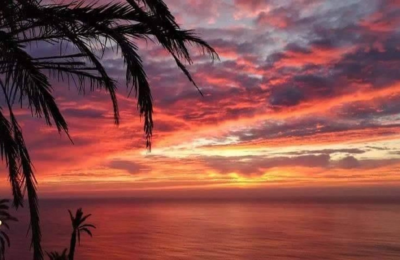 Nouvelle construction - Bungalow - Torrevieja - Altos del Sol