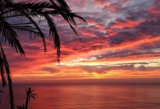 Nouvelle construction - Bungalow - Torrevieja - Altos del Sol