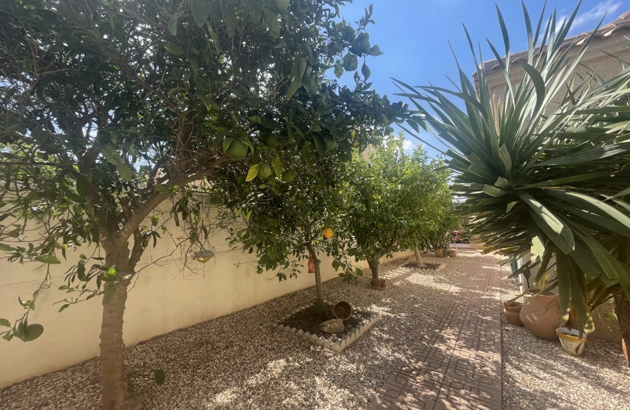 Reventa - Chalet - Algorfa