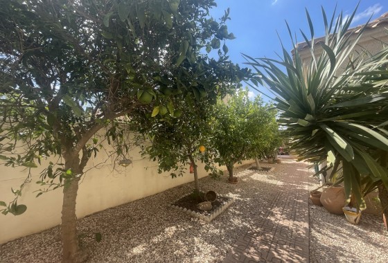 Reventa - Chalet - Algorfa