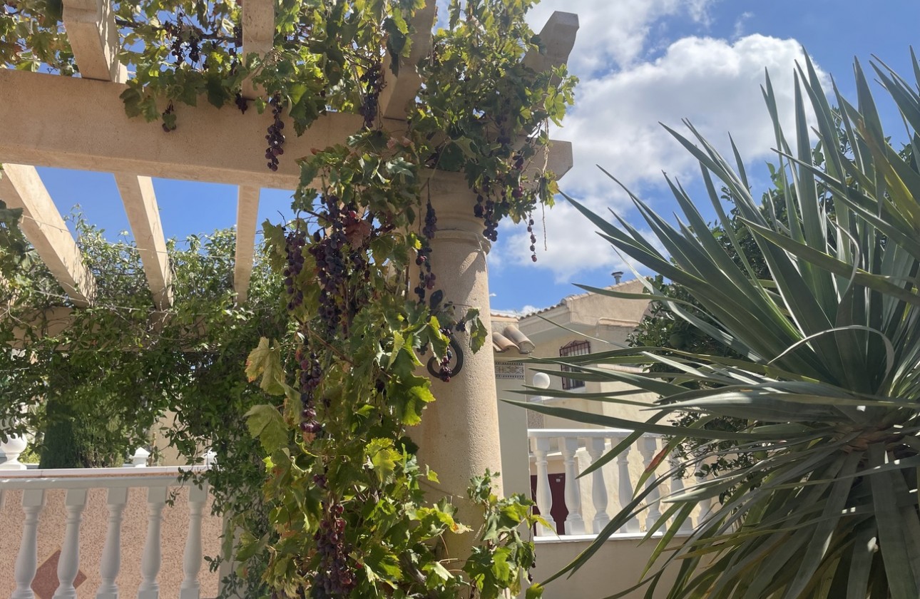 Reventa - Chalet - Algorfa