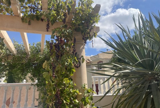 Reventa - Chalet - Algorfa