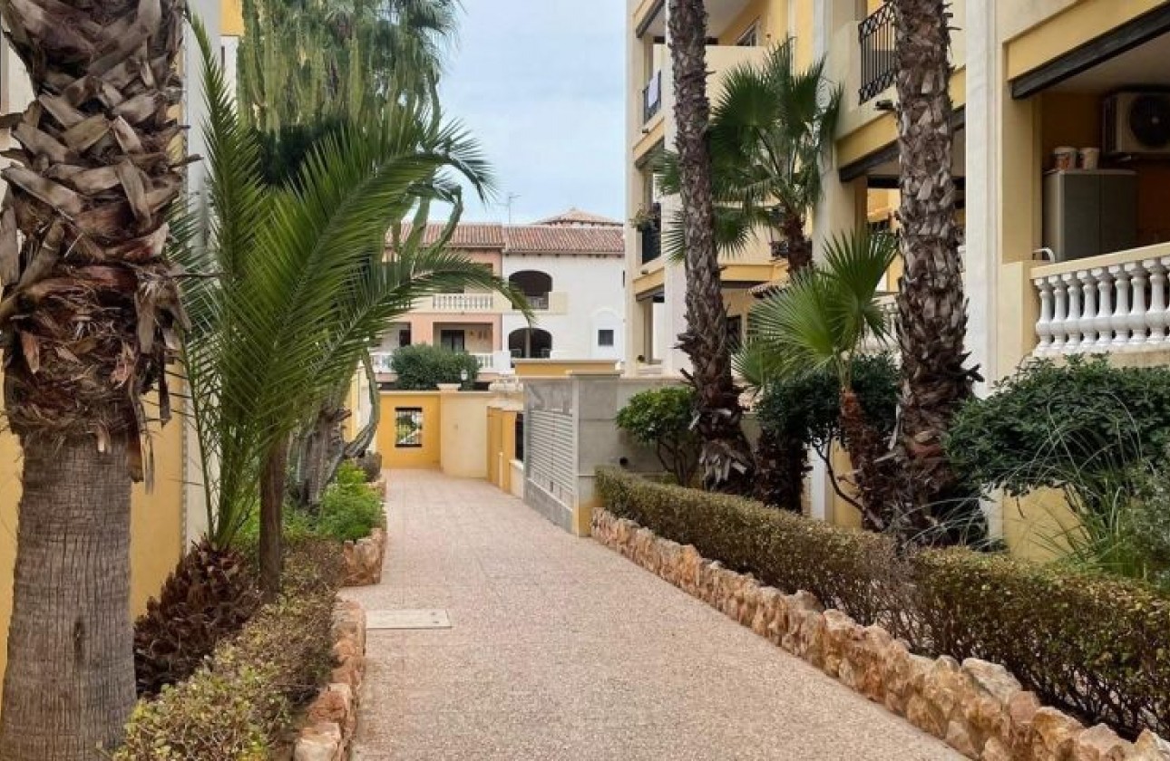 Reventa - Apartamento / piso - Torrevieja - torrevieja