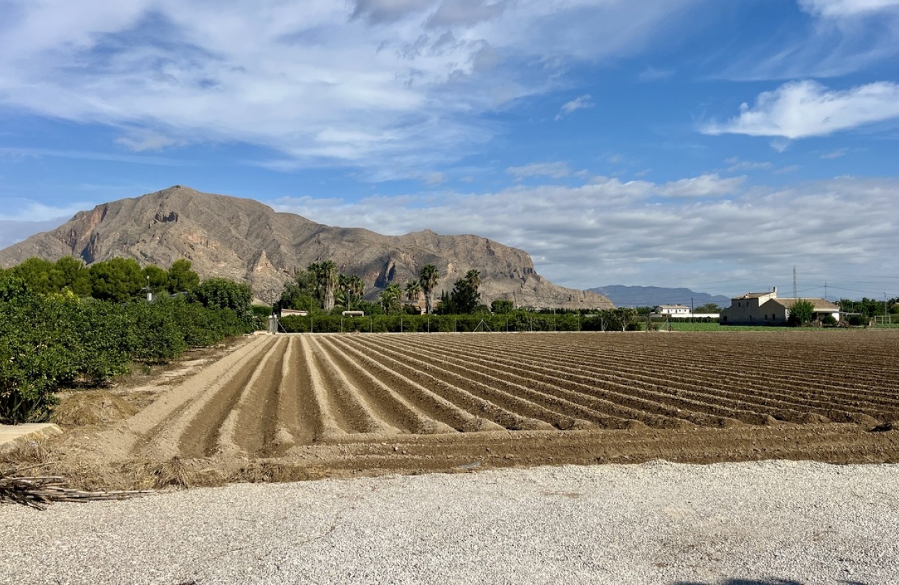 Resale - Villa - Orihuela