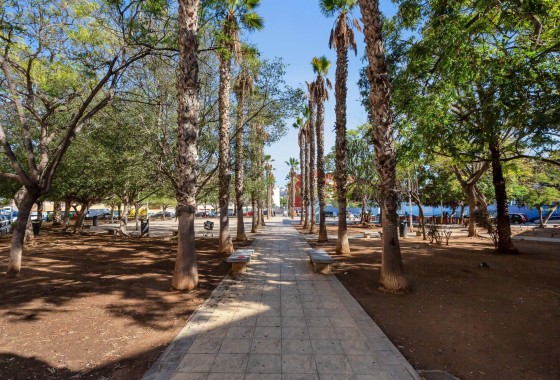 Resale - Apartment / flat - Torrevieja - Centro